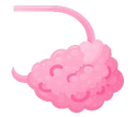 Beef Ovaries